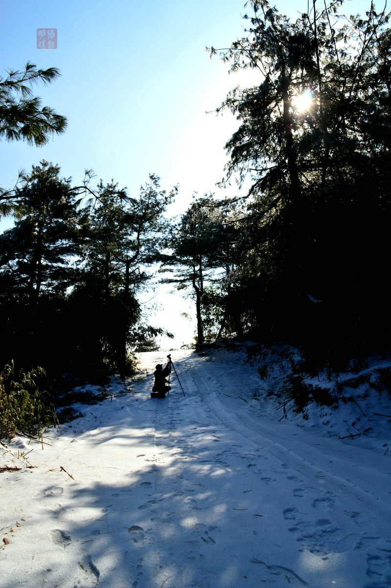 DSC_2286_副本.JPG