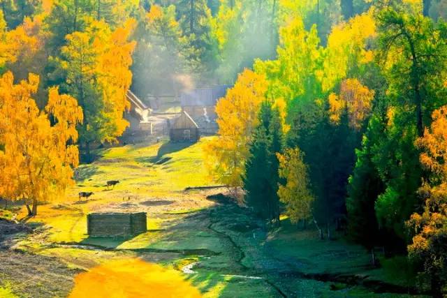 c4e4b7805e9ec8622c11c04b28631434.jpg c4e4b7805e9ec8622c11c04b28631434.jpg