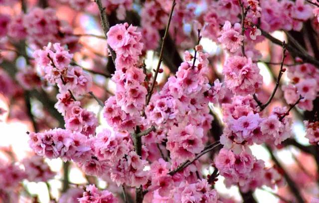 0b93ac02feb0940c565750f3b0b18f3b.jpg 0b93ac02feb0940c565750f3b0b18f3b.jpg