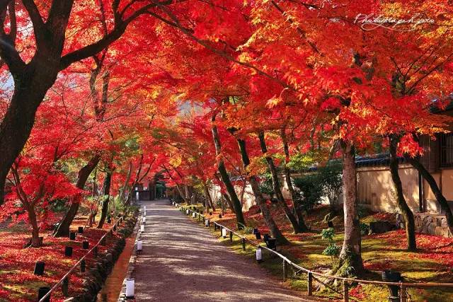 5d15ccc0295d275ab889a5f906c7e012.jpg 5d15ccc0295d275ab889a5f906c7e012.jpg