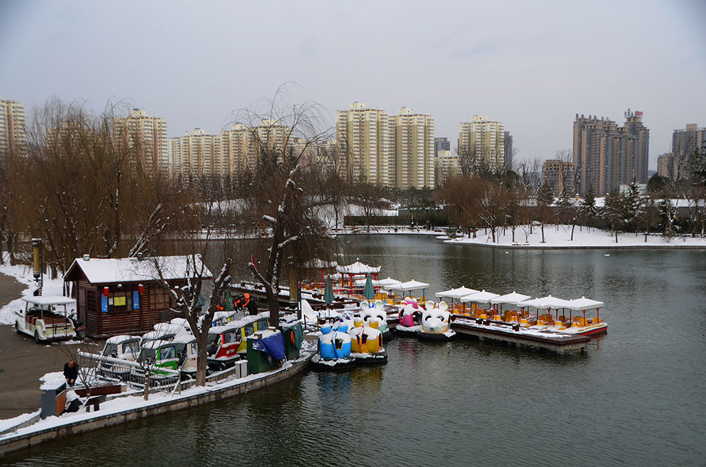 DSC_2787副本.jpg
