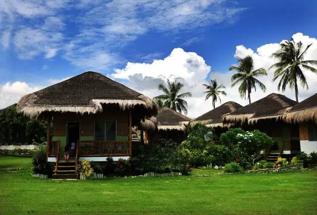 8231401b494dedea66fce65c53983e19.jpg 8231401b494dedea66fce65c53983e19.jpg