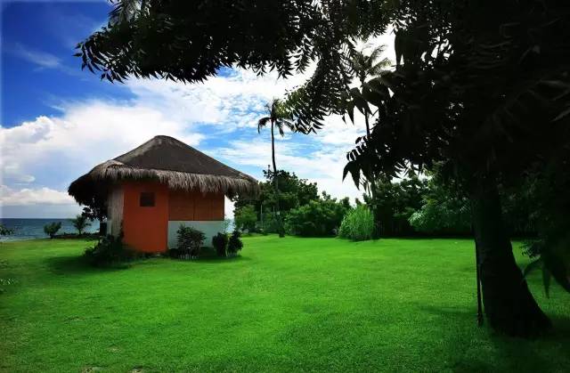 005114f6bab0f3c3a5914107c3ff275f.jpg 005114f6bab0f3c3a5914107c3ff275f.jpg