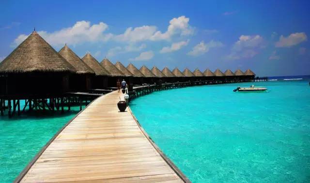 1f53de3ec54595b66bd850dead77aac2.jpg 1f53de3ec54595b66bd850dead77aac2.jpg