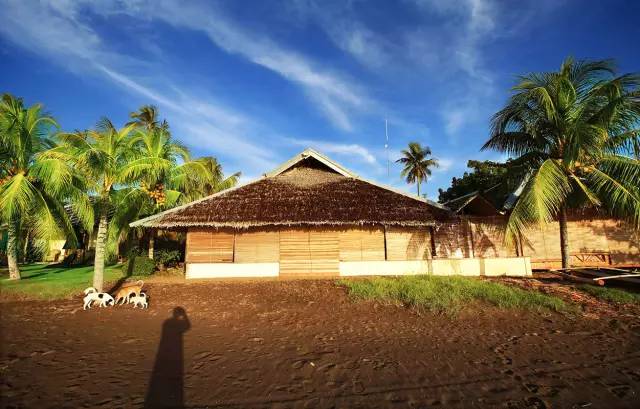 fbc778640afdb524c45f097a2637231b.jpg fbc778640afdb524c45f097a2637231b.jpg