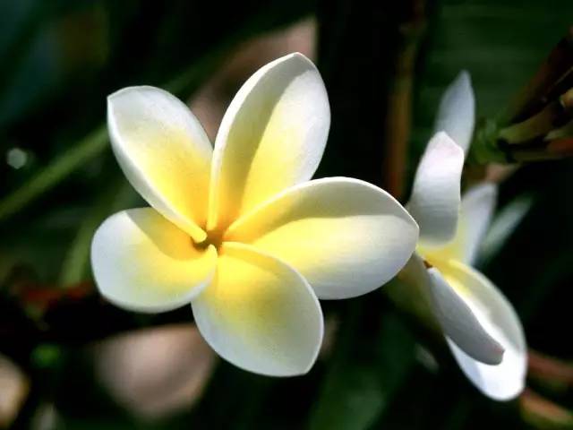 adc16af548f66183560d61f54c7af813.jpg adc16af548f66183560d61f54c7af813.jpg