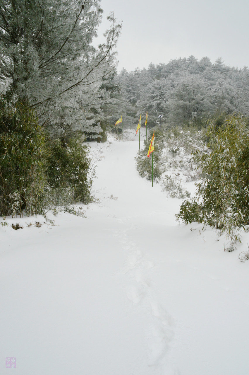 DSC_3612.JPG