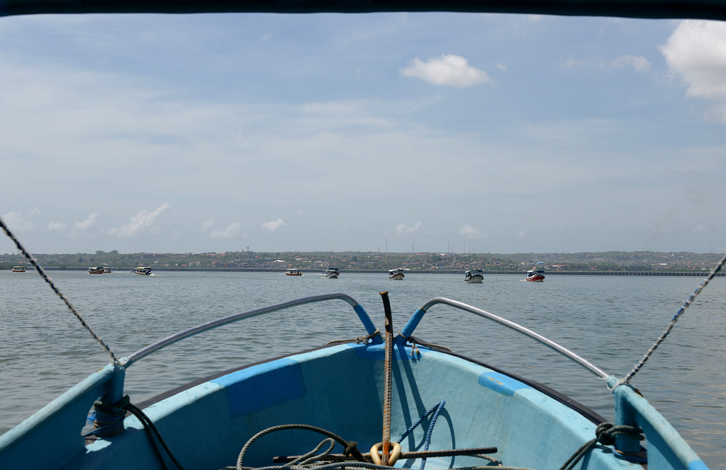 DSC_3491.JPG