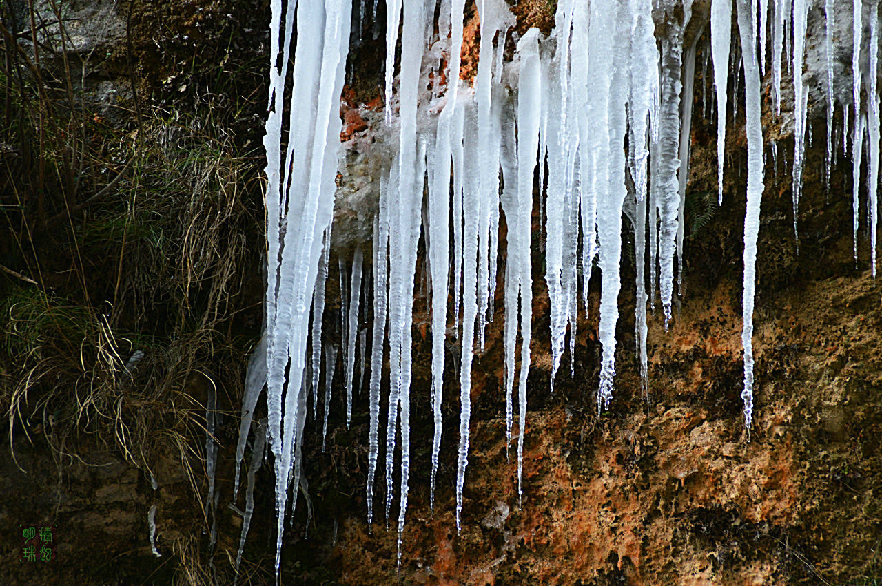 DSC_3991.JPG