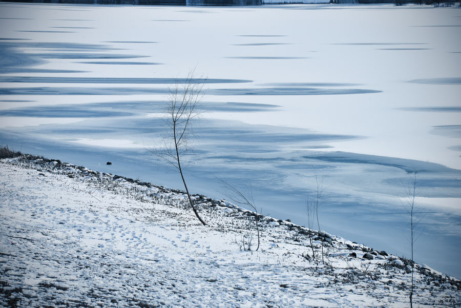 DSC_6914-1.jpg