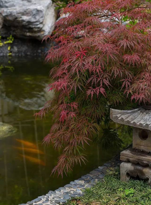 6d386f4a539eb49f6c74f13488d4a1a1.jpg