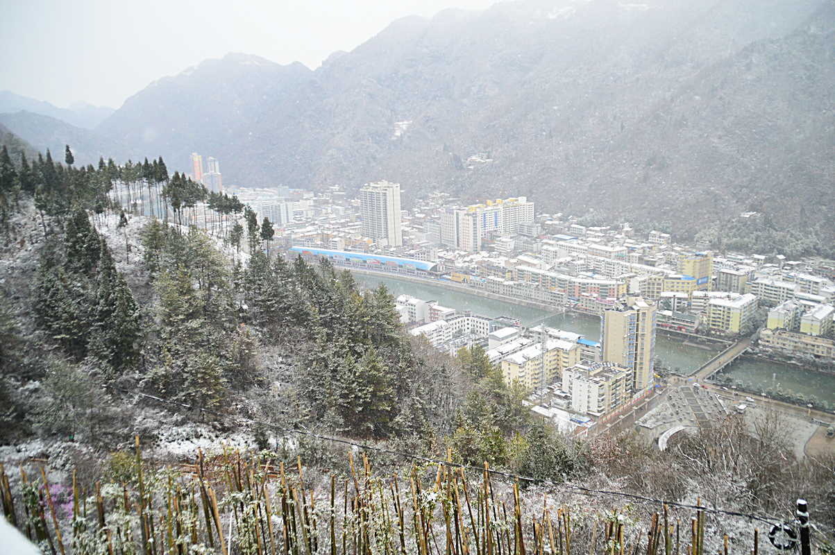 DSC_1172_副本.JPG