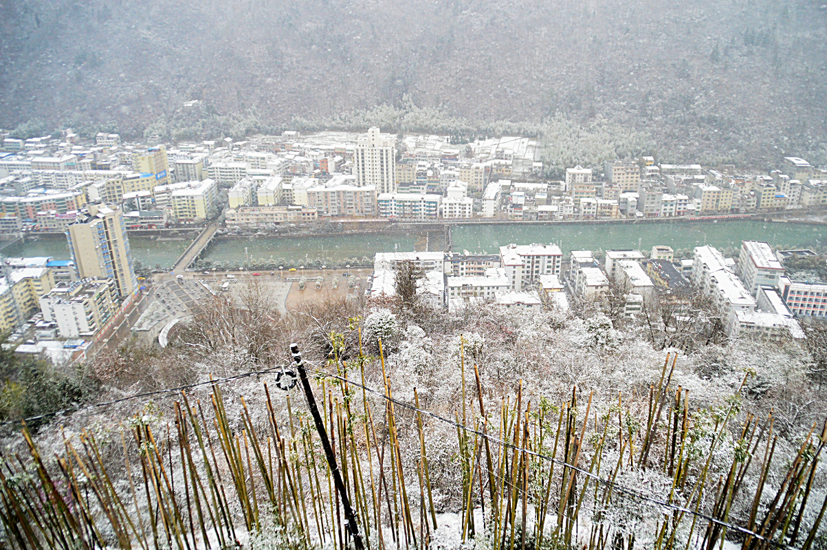 DSC_1173_副本.JPG