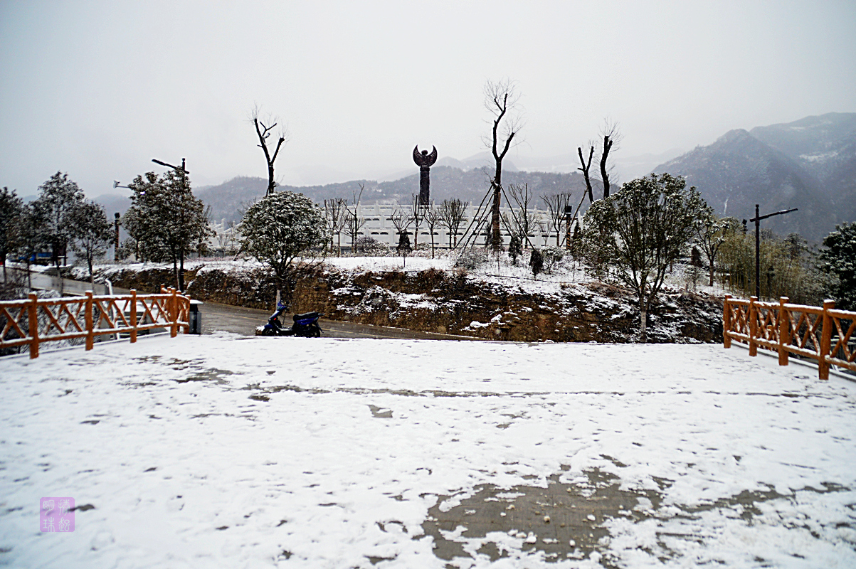 DSC_1174.JPG