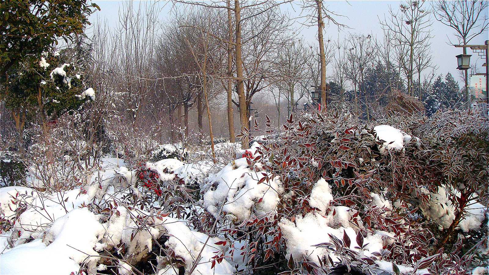 DSC05260_meitu_27.jpg