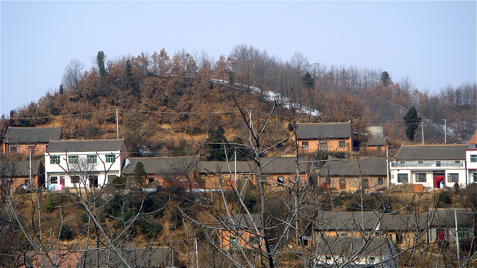 DSC05503_meitu_89.jpg