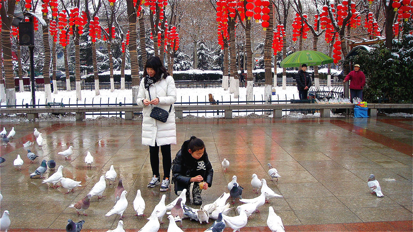 DSC05200_meitu_8.jpg