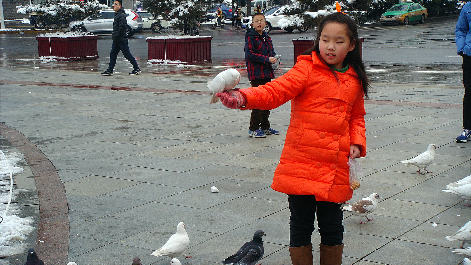 DSC05207_meitu_14.jpg