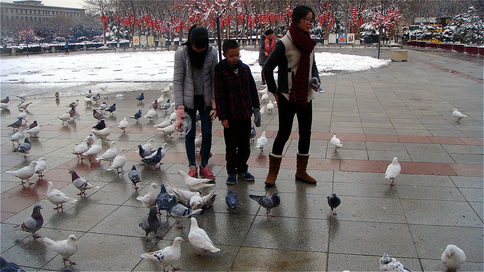 DSC05228_meitu_28.jpg