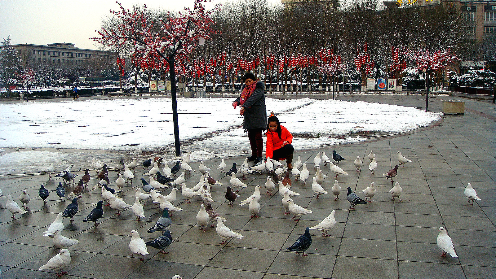 DSC05229_meitu_29.jpg