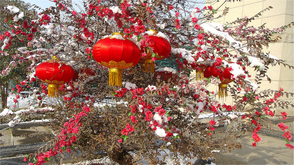 DSC05343_meitu_106.jpg