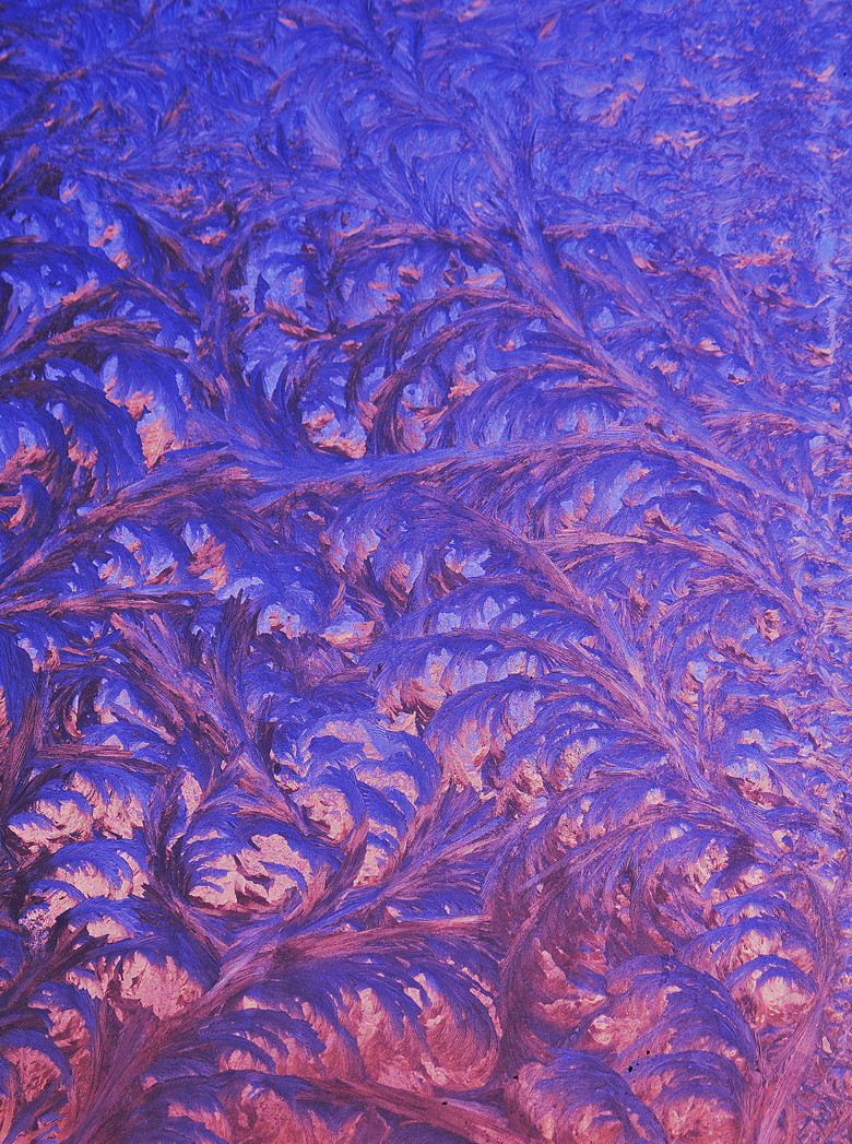 DSC_0038_副本_副本.jpg