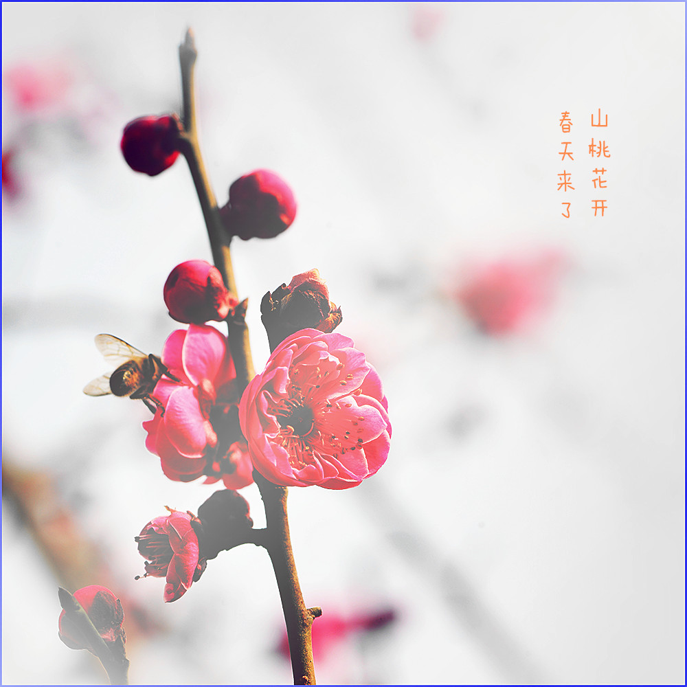 DSC_8443_副本.jpg