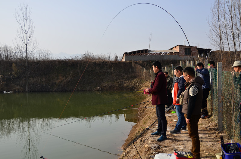 DSC_3699_副本.jpg