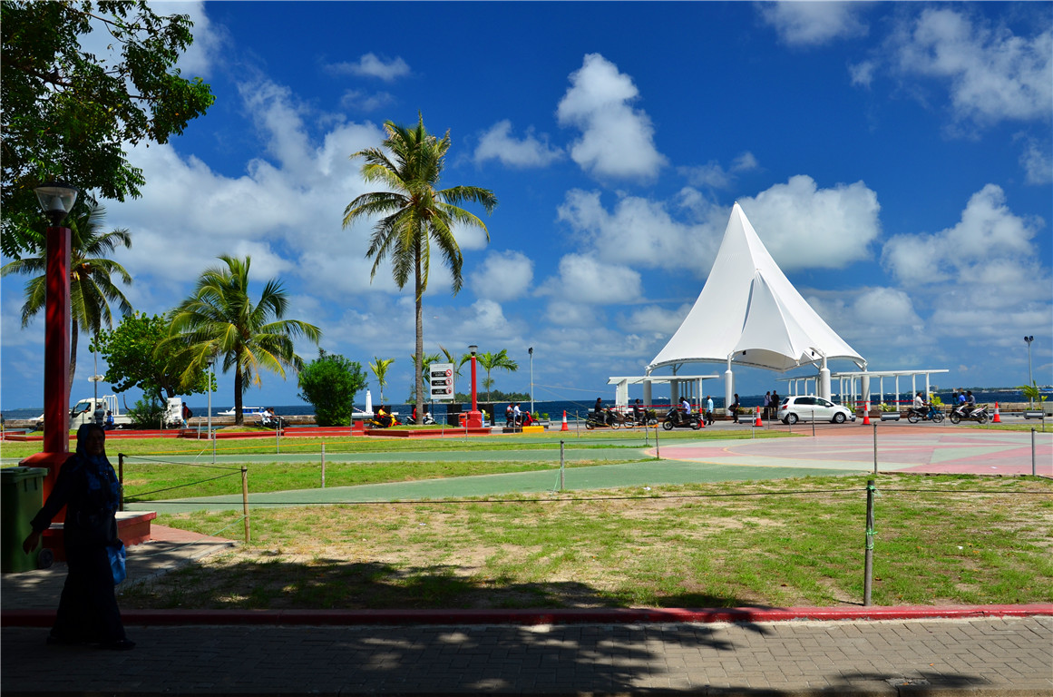 DSC_1459.jpg DSC_1459.jpg