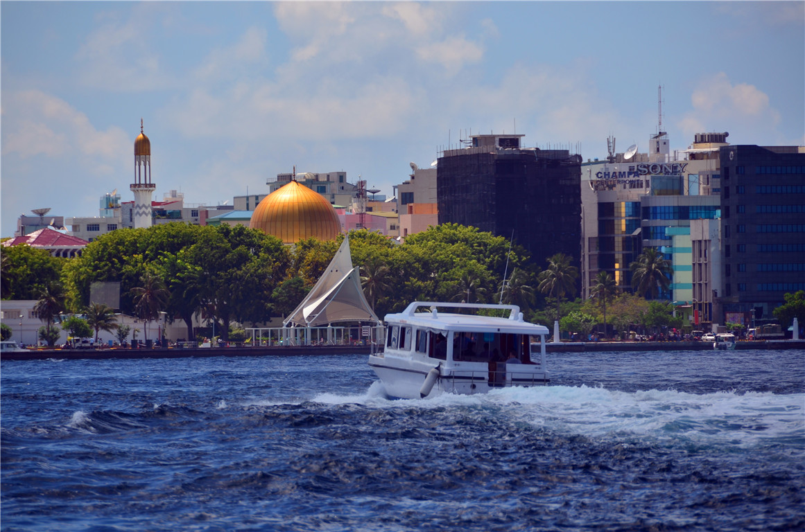 DSC_1481.jpg DSC_1481.jpg