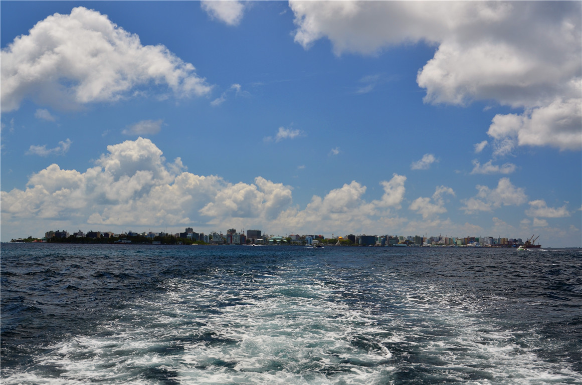 DSC_1494.jpg DSC_1494.jpg