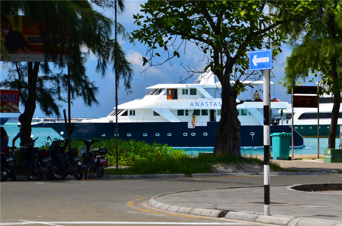 DSC_1512.jpg DSC_1512.jpg