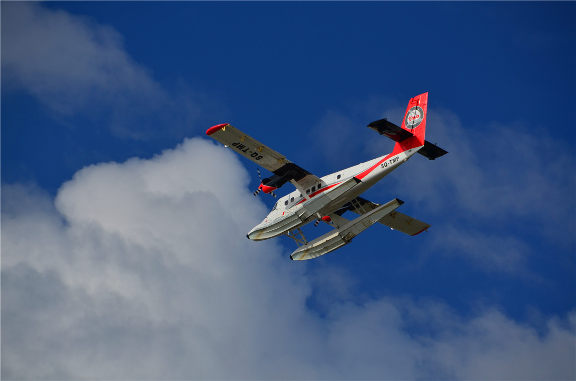 DSC_1593.jpg DSC_1593.jpg