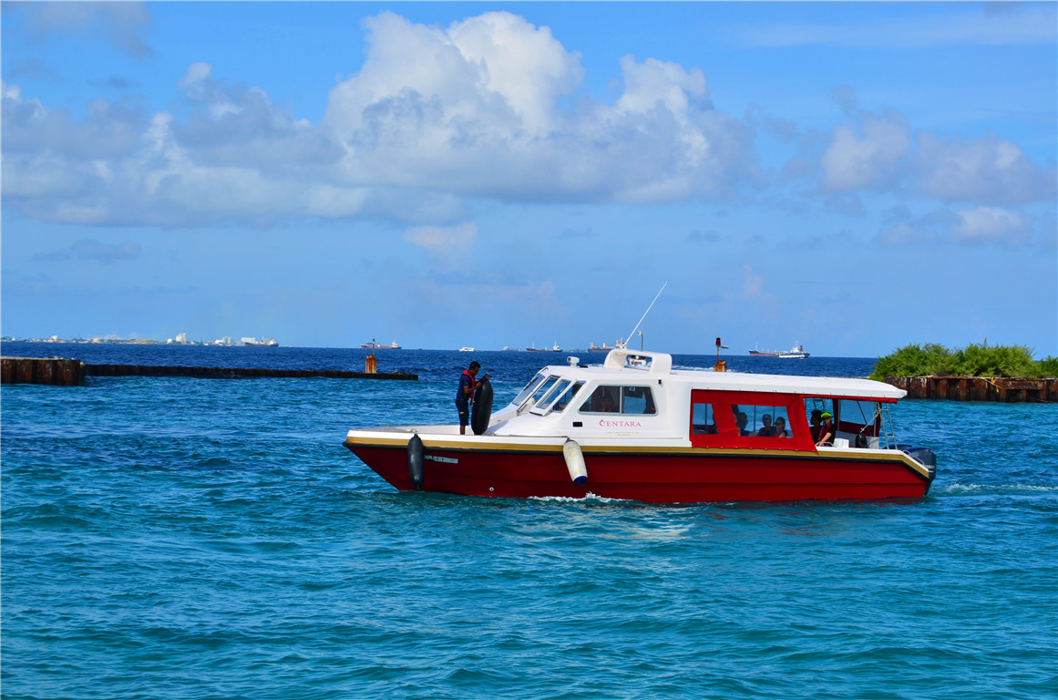 DSC_1614.jpg DSC_1614.jpg