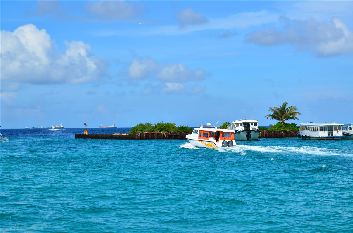 DSC_1615.jpg DSC_1615.jpg