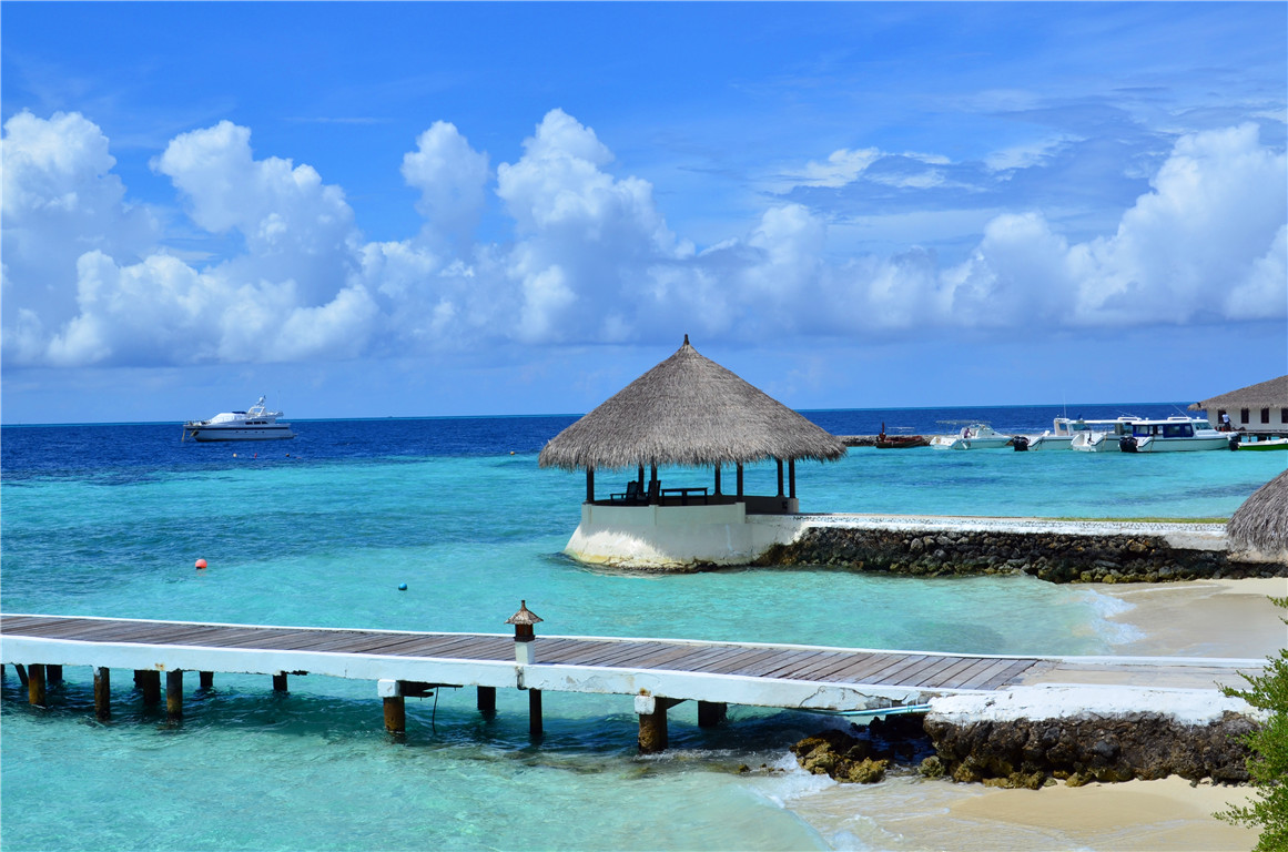 DSC_1638.jpg DSC_1638.jpg