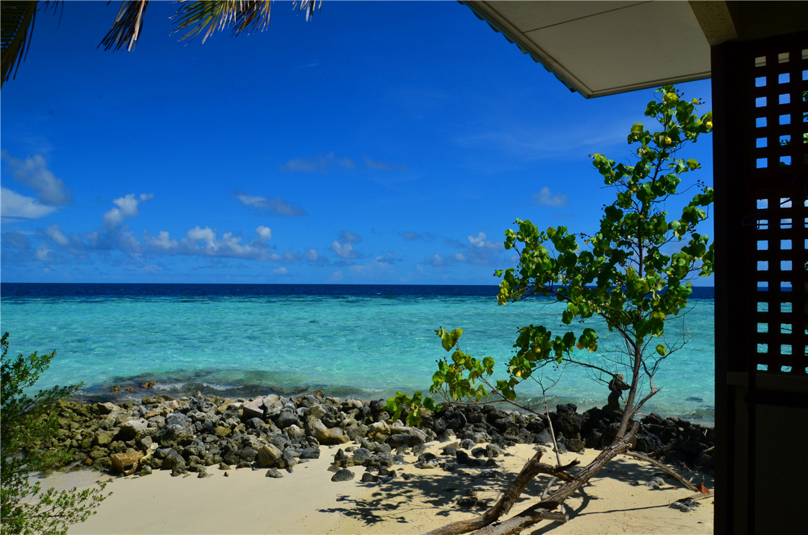 DSC_1665.jpg DSC_1665.jpg