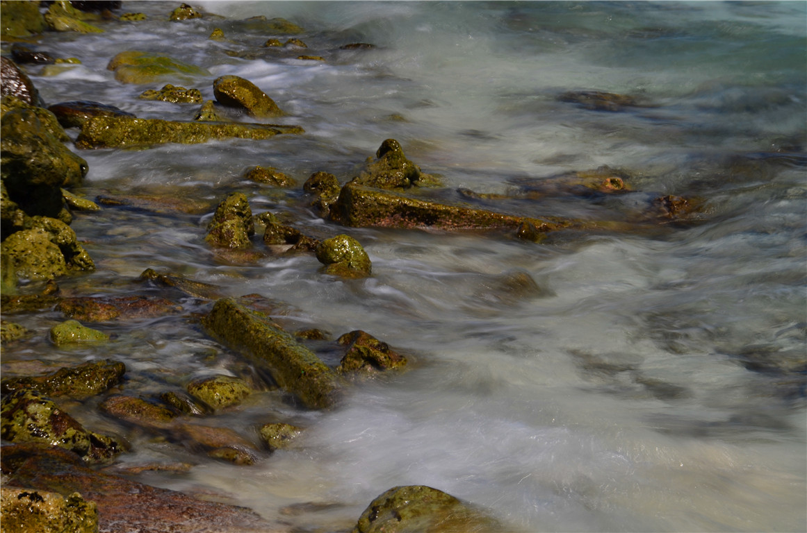 DSC_1689.jpg DSC_1689.jpg