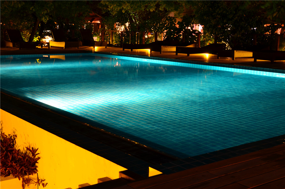 DSC_1869.jpg DSC_1869.jpg