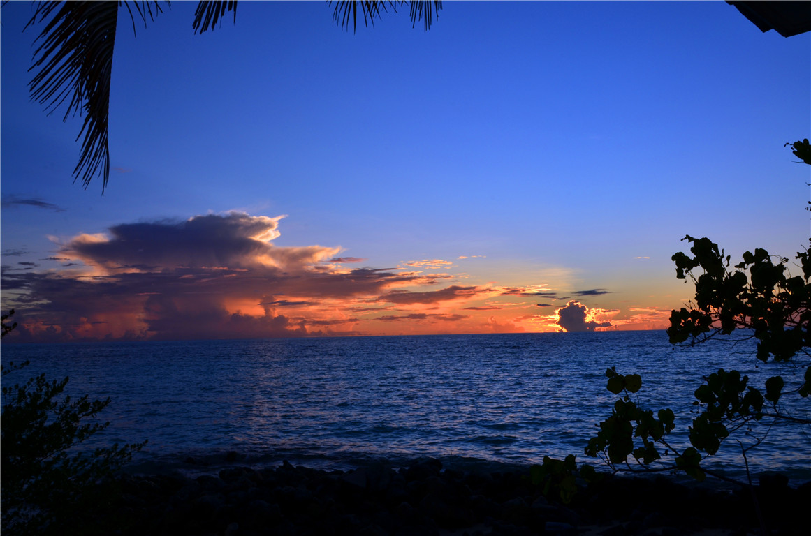 DSC_1888.jpg DSC_1888.jpg