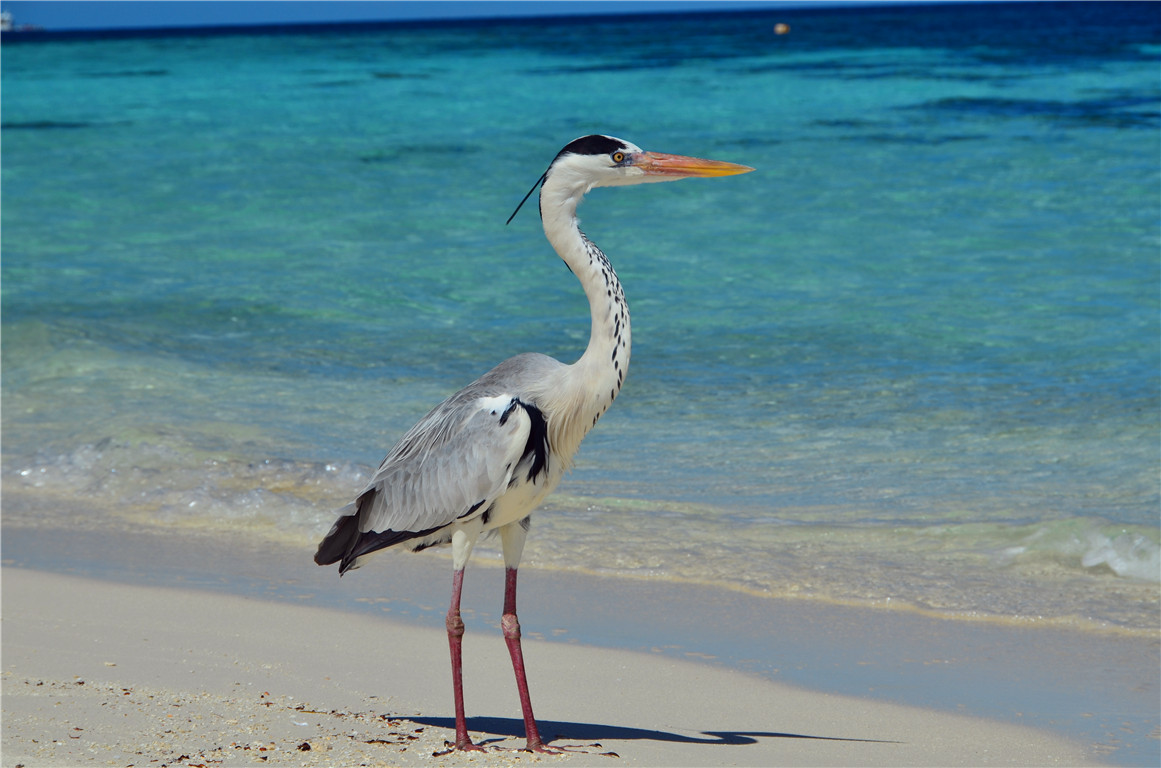 DSC_2011.jpg DSC_2011.jpg