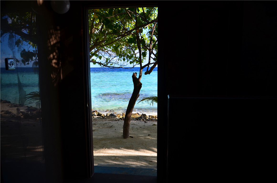 DSC_2027.jpg DSC_2027.jpg