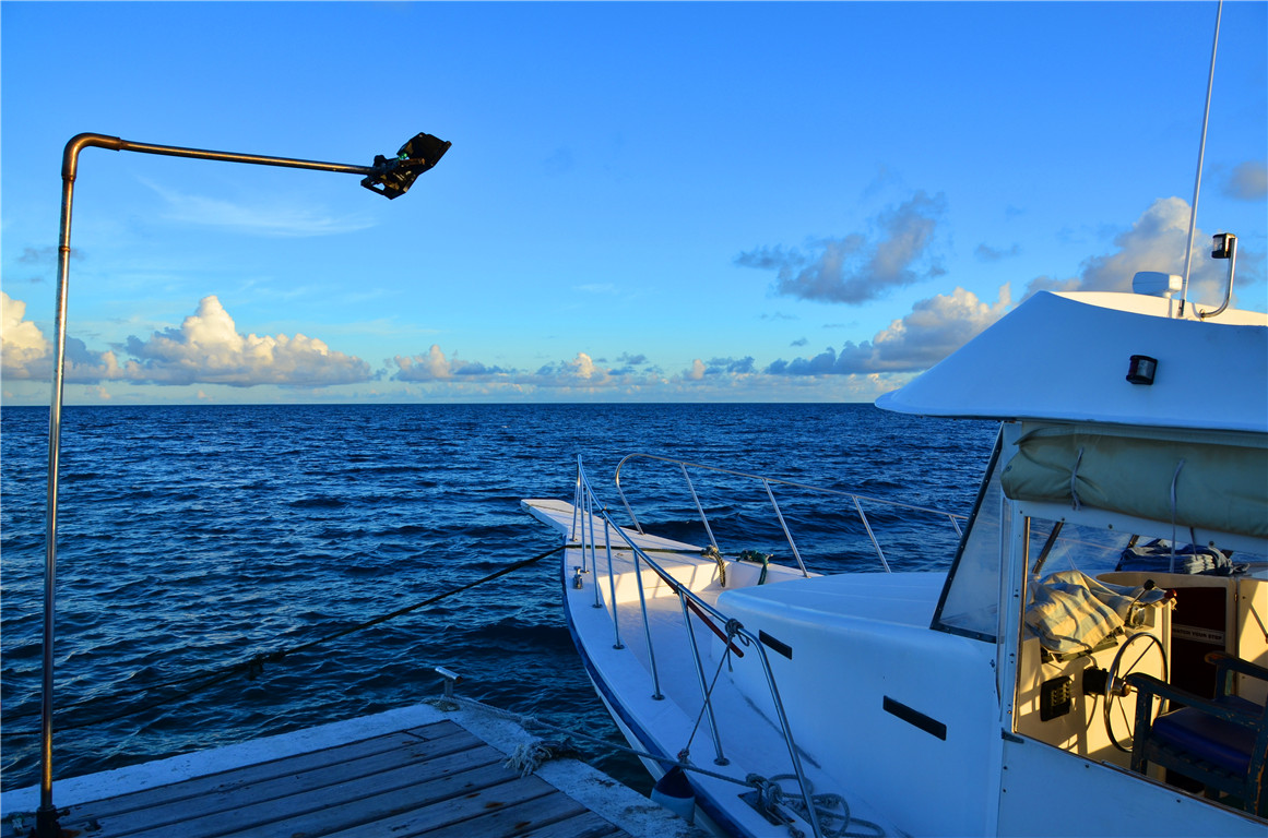 DSC_2143.jpg DSC_2143.jpg