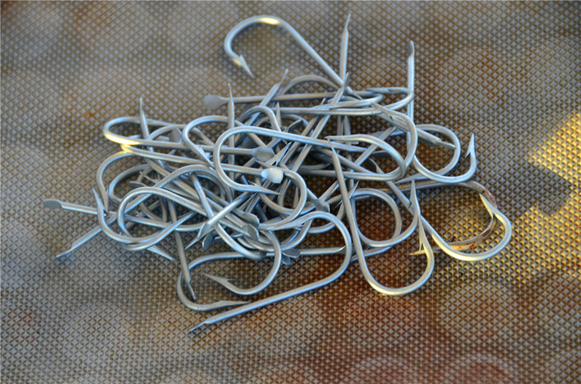 DSC_2146.jpg DSC_2146.jpg