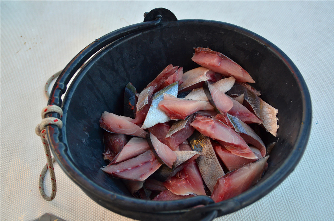 DSC_2152.jpg DSC_2152.jpg