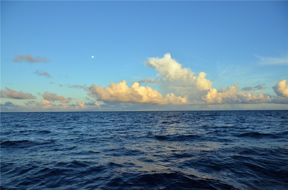 DSC_2155.jpg DSC_2155.jpg