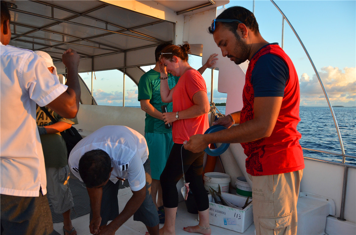 DSC_2165.jpg DSC_2165.jpg