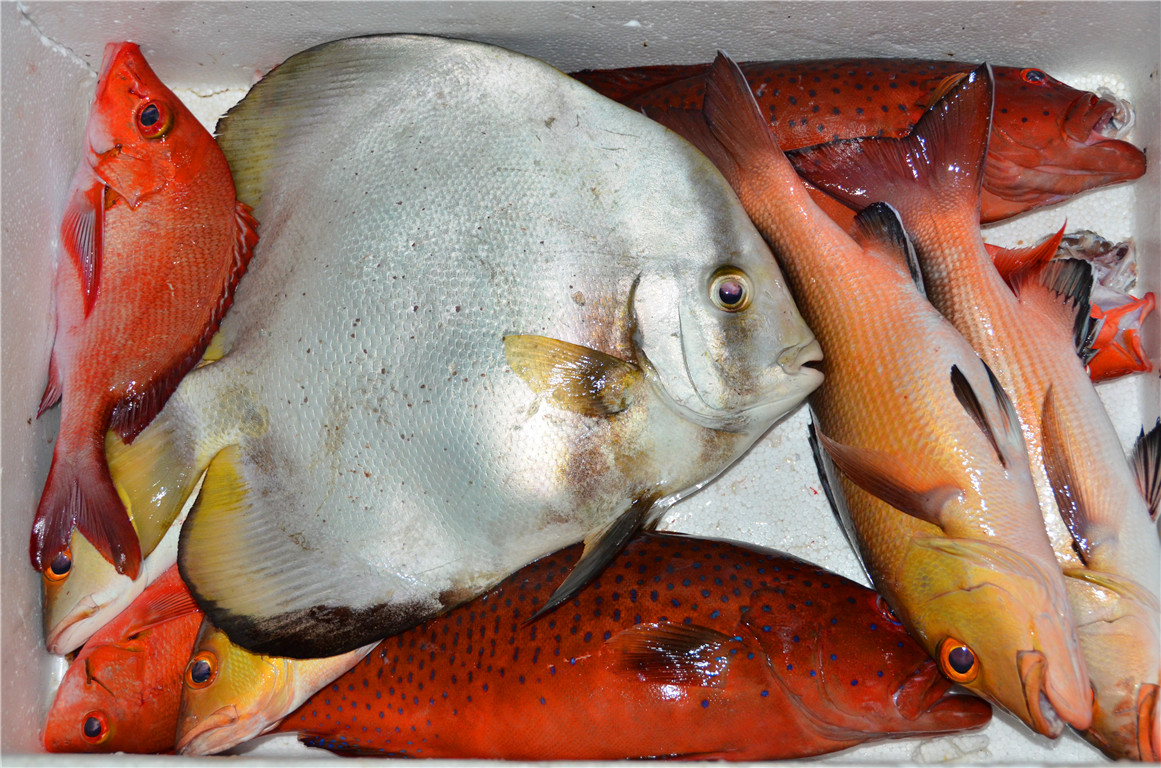 DSC_2238.jpg DSC_2238.jpg