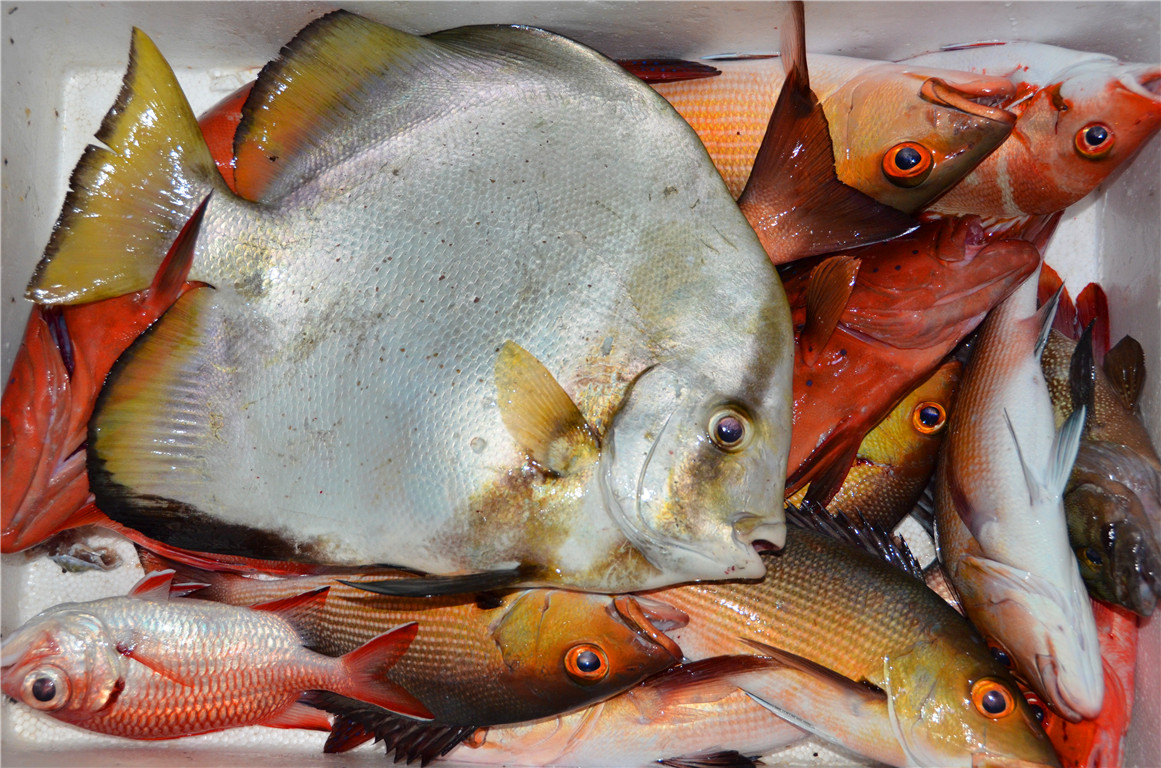 DSC_2251.jpg DSC_2251.jpg