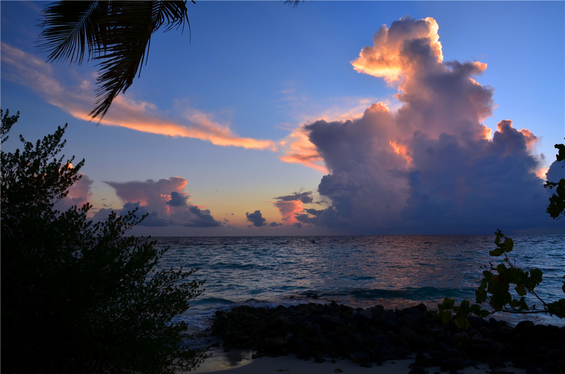 DSC_2275.jpg DSC_2275.jpg